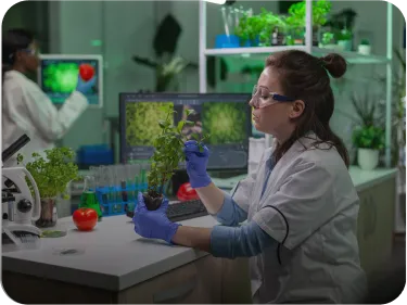 Biomedical Engineering